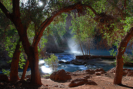 Morning at Havasu Falls 