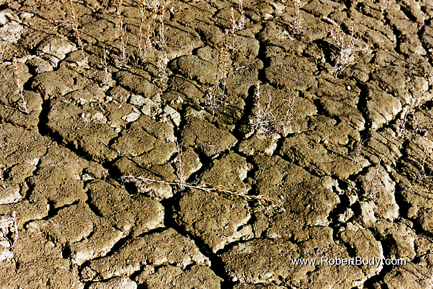 1999-04-nd-cracked-soil