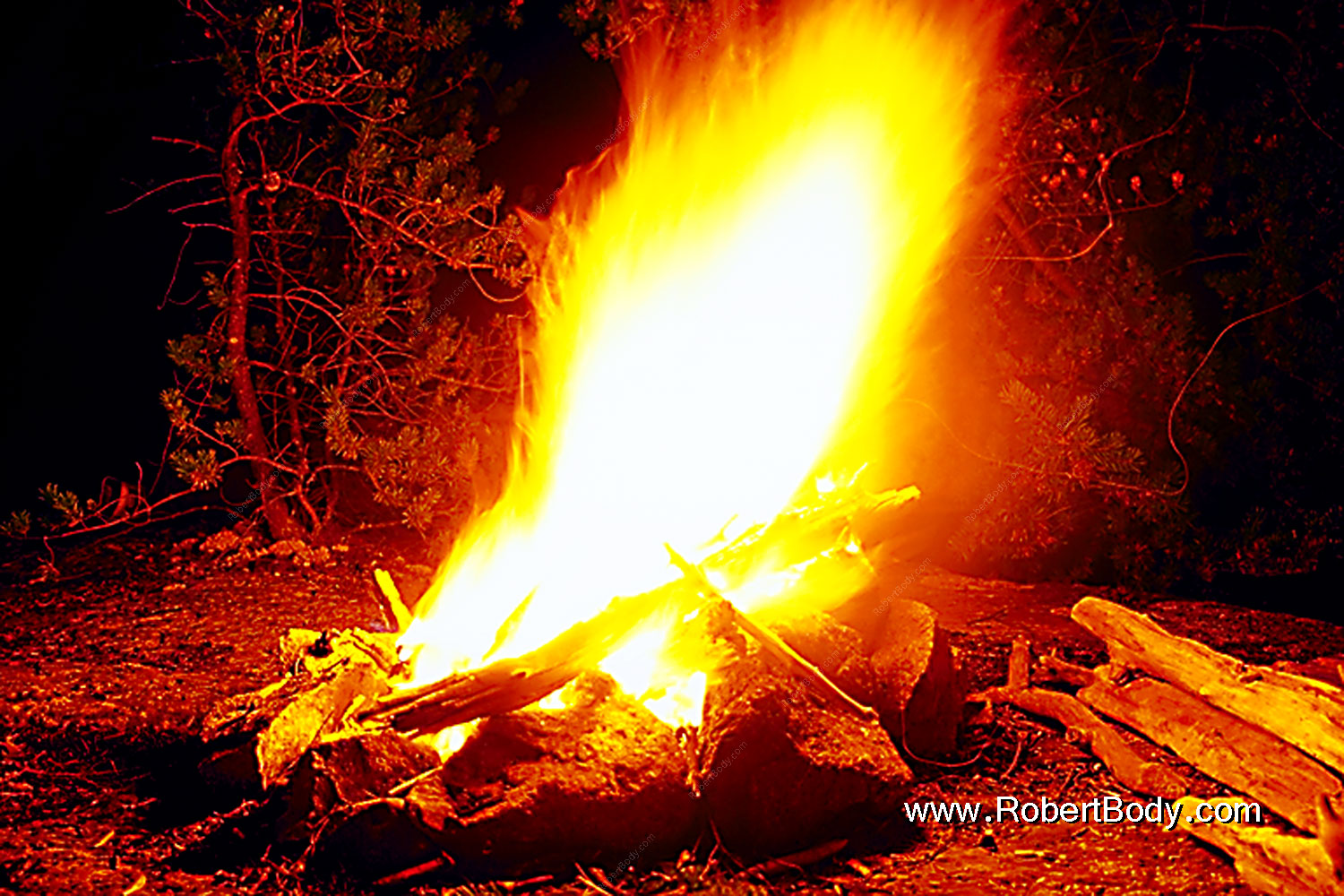 2000-09-tema-island-fire