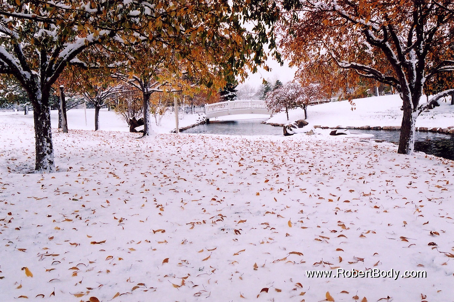 2004-11-centennial-snow1