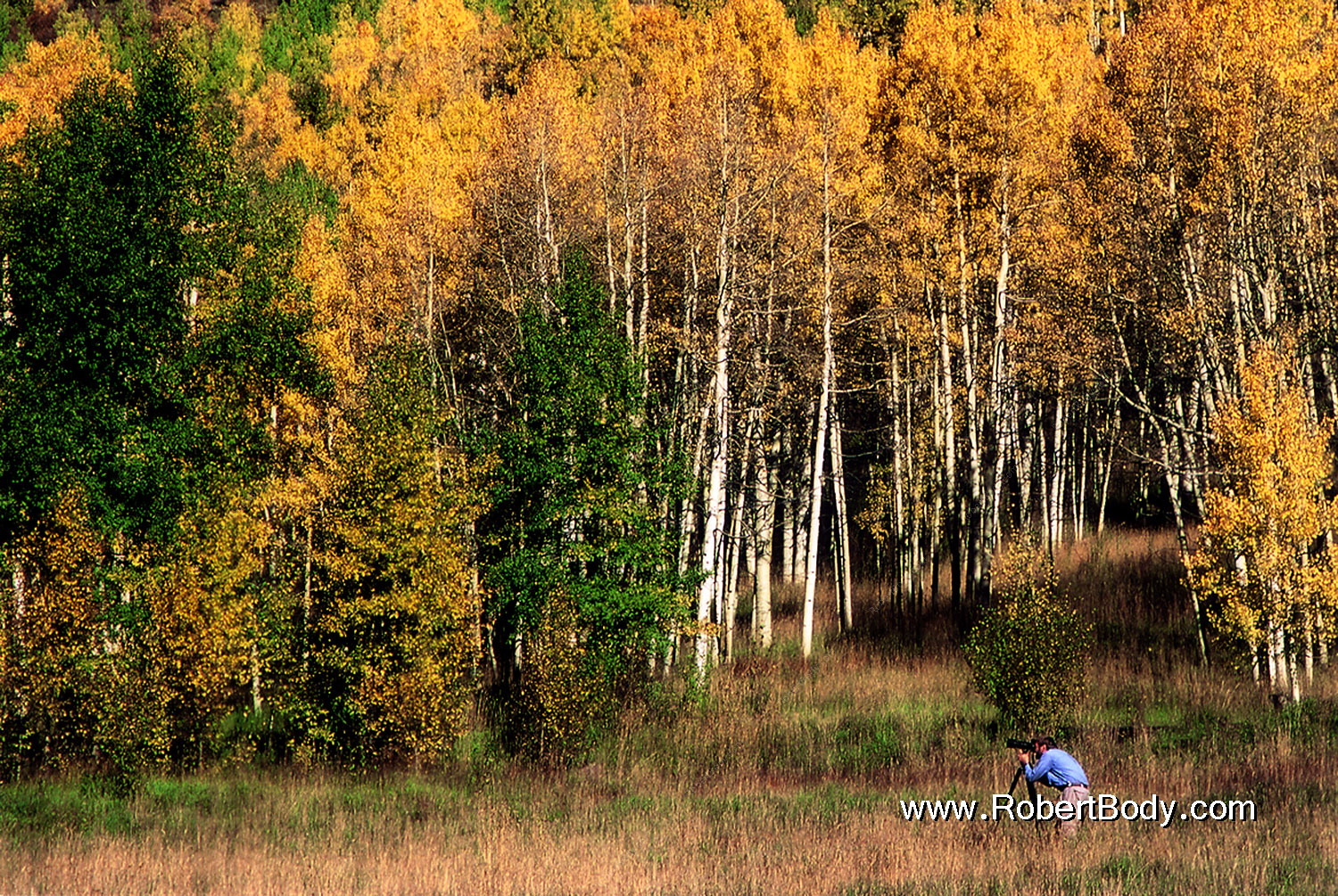 2005-09-maroon-photographer