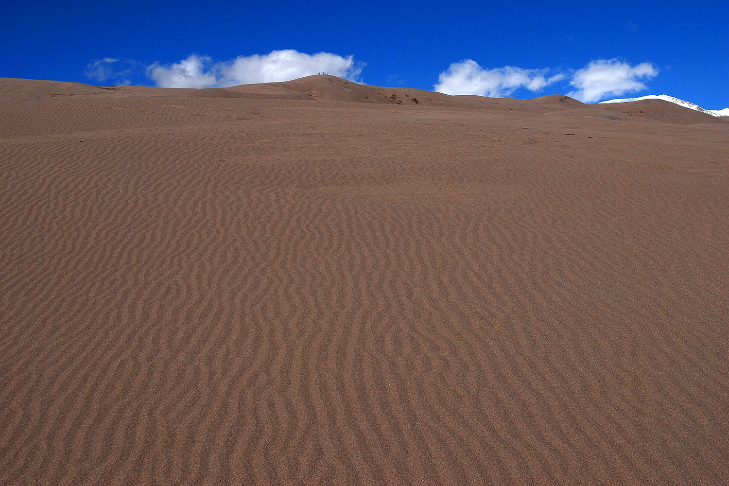 2007-04-14-sand-dunes08