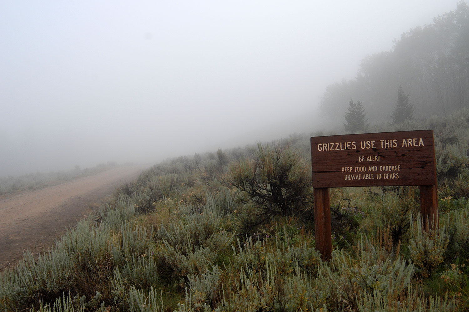 2007-07-26-mt-bear-sign-griz