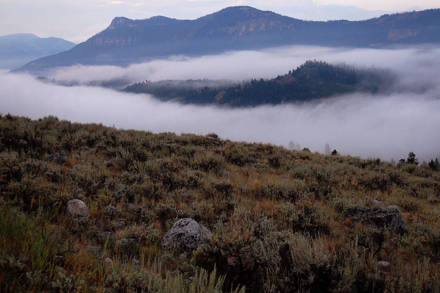 2007-07-26-mt-bear09