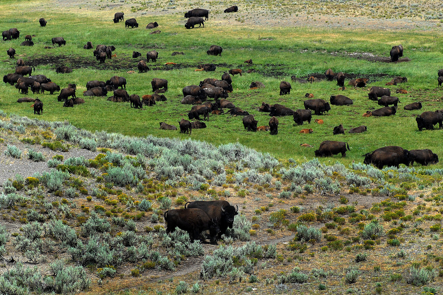 2007-07-28-y-buff-3225