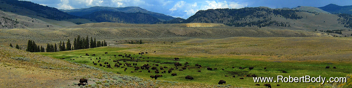 2007-07-28-y-buff-3240-sp