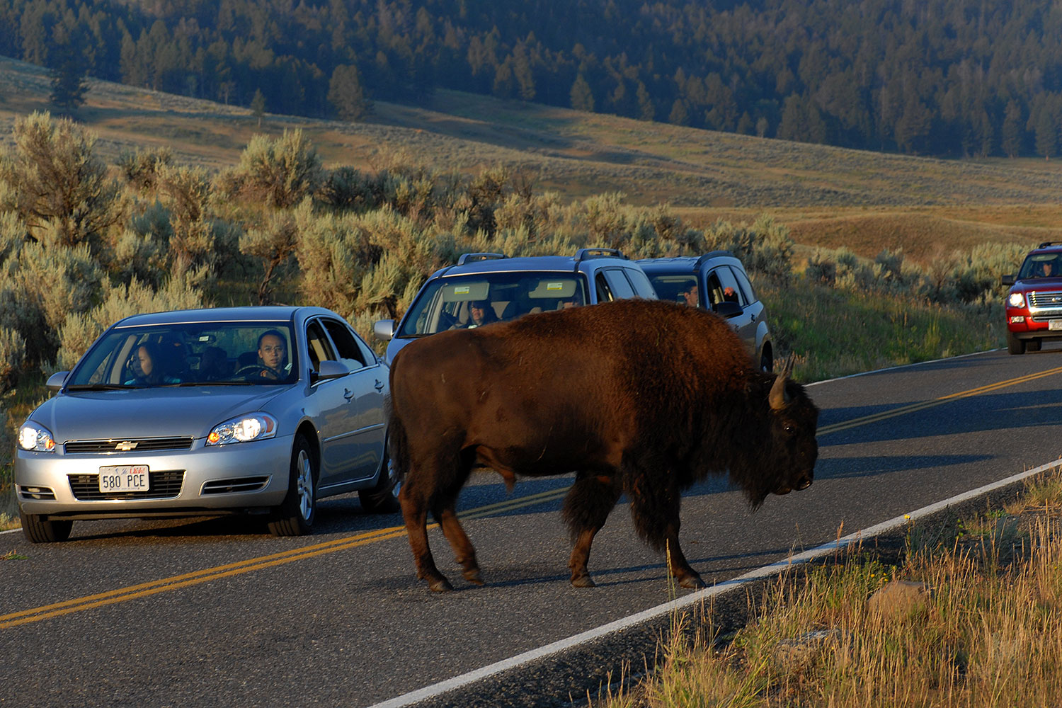 2007-07-28-y-morn-4393