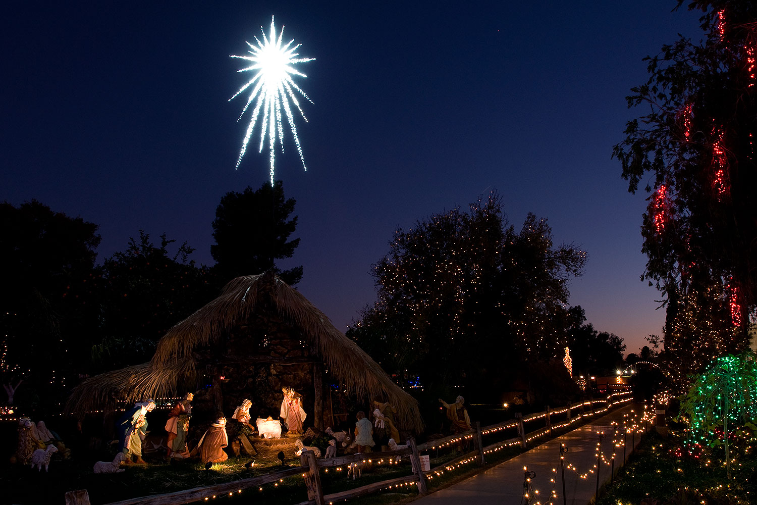 2008-12-29-mesa-temple-displays-69136