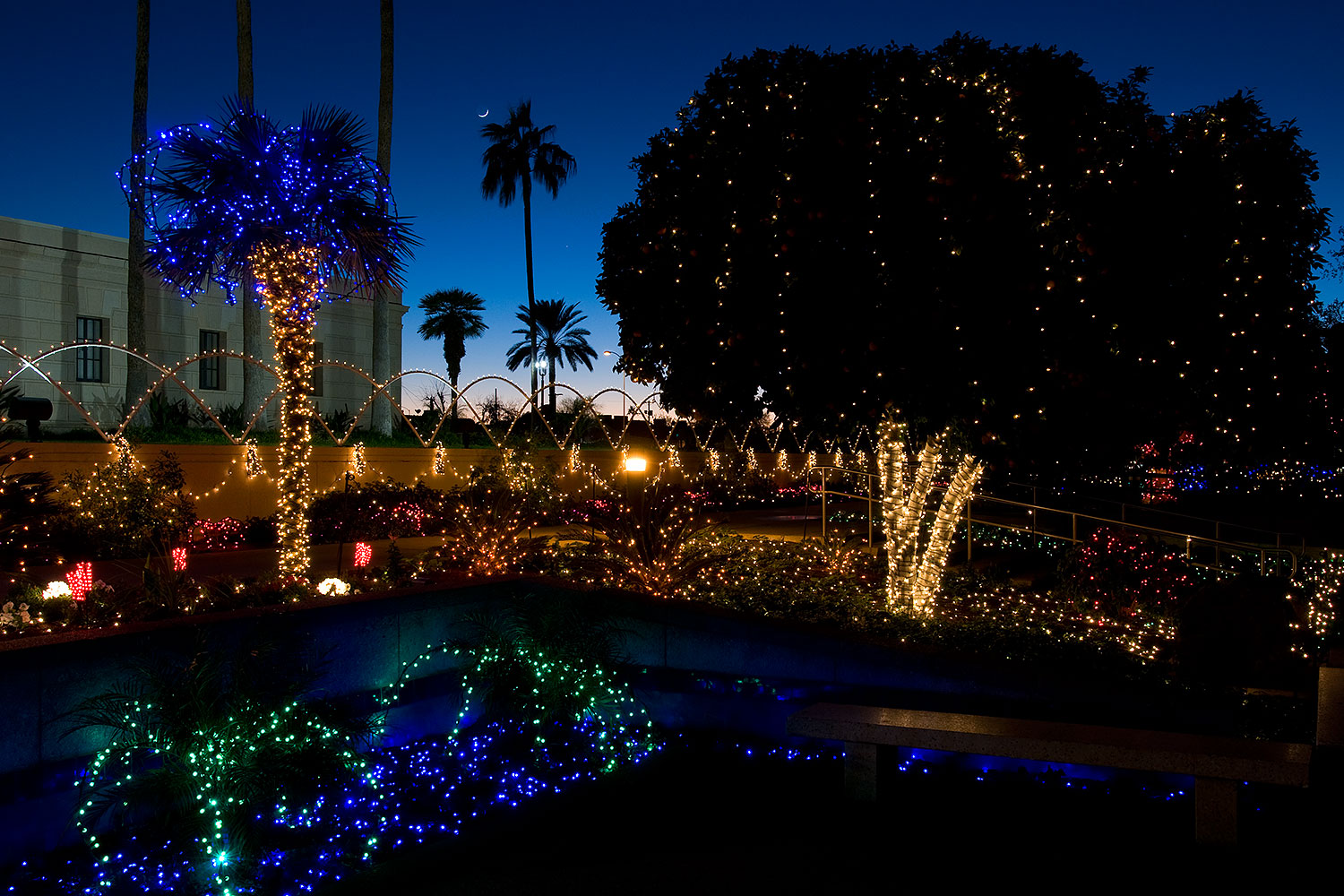 2008-12-29-mesa-temple-lights-69142
