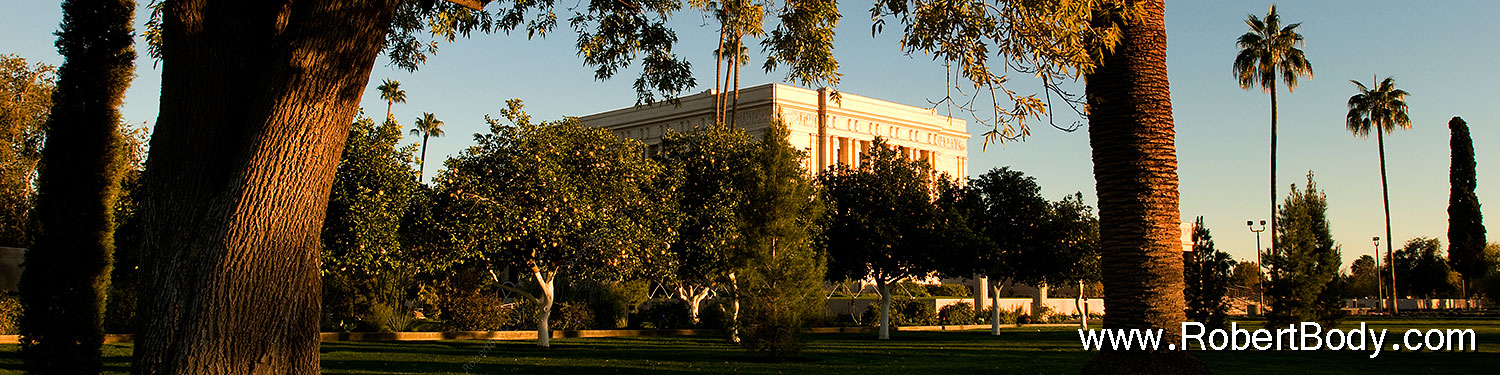 2008-12-31-mesa-temple-trees-69825sp