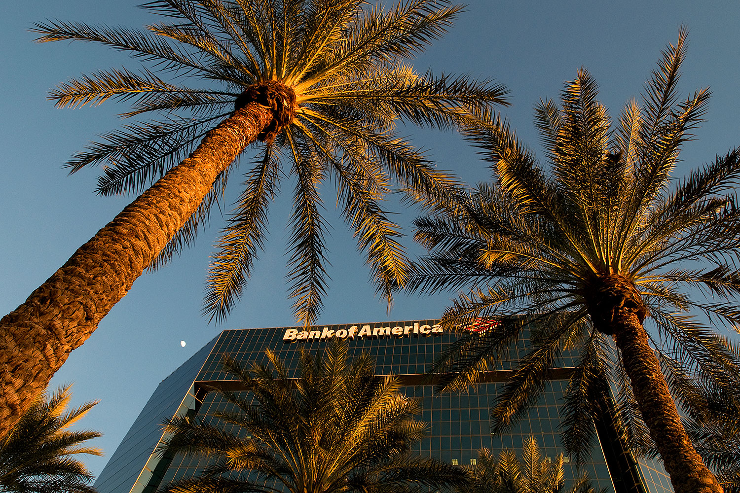 2009-01-06-mesa-fountains-72963