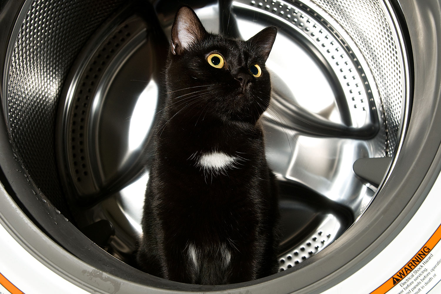 2009-01-07-tempe-hanna-73244