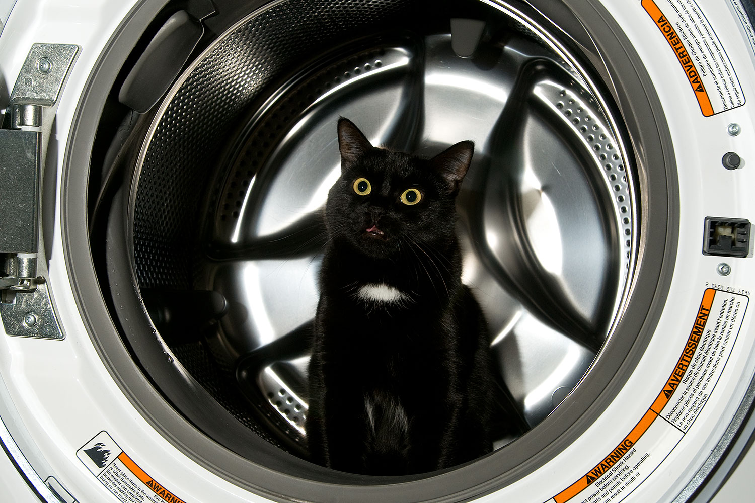 2009-01-08-tempe-hanna-73725