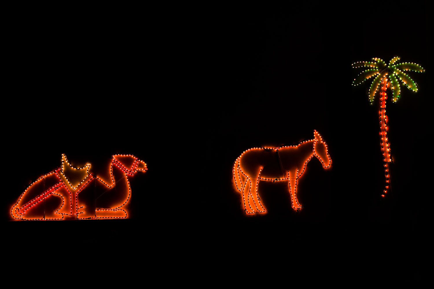 2009-12-31-chandler-lights-131276