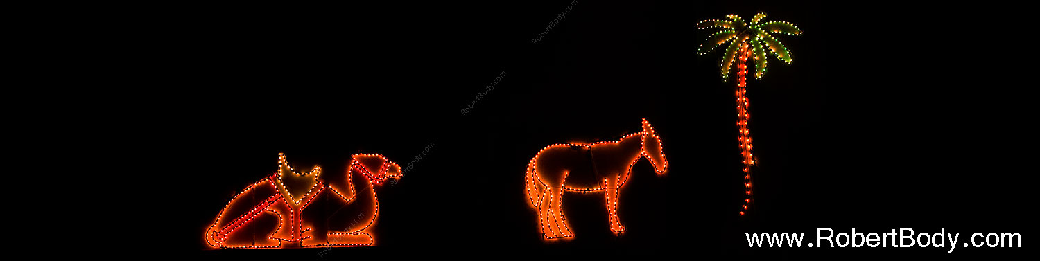 2009-12-31-chandler-lights-131276sp