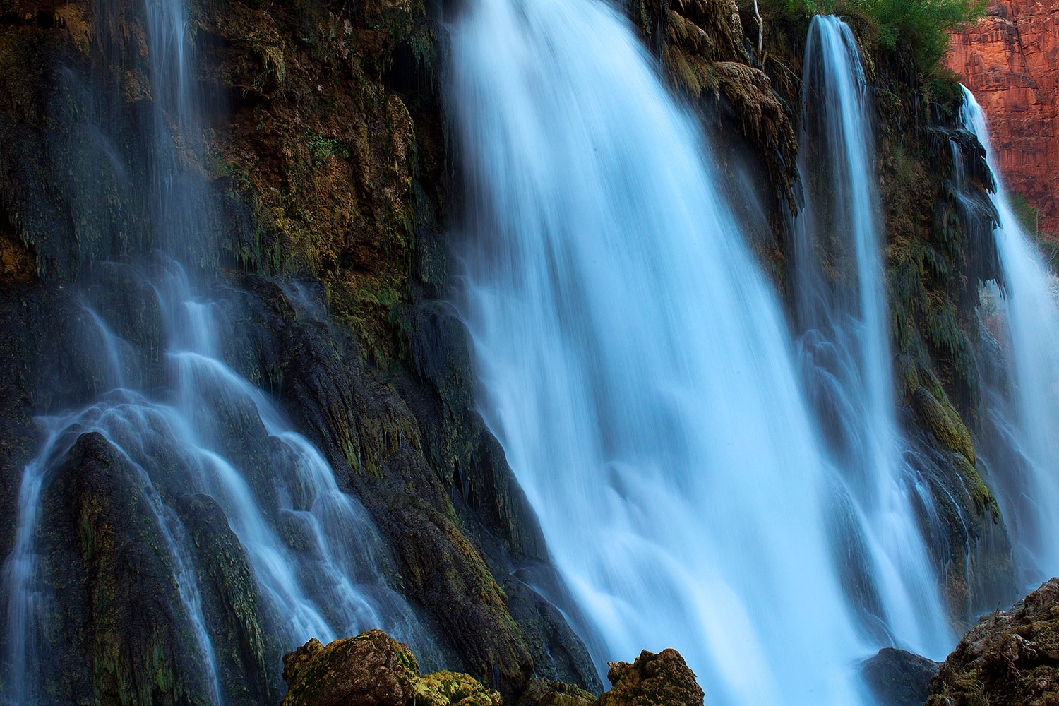2010-06-19-havasu-falls-6967