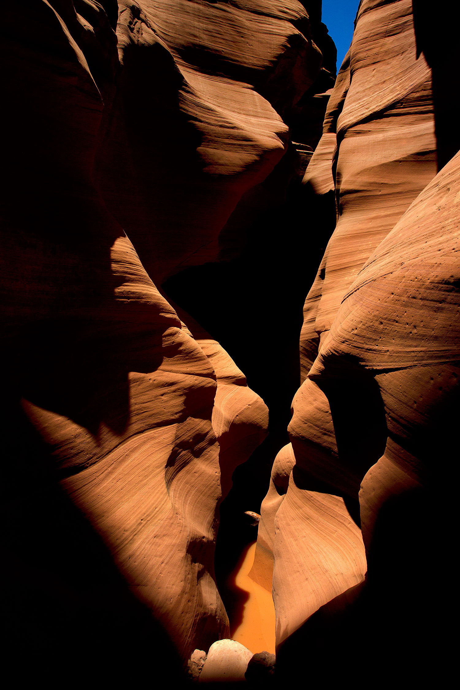 2010-07-25-canyon-x-19056v