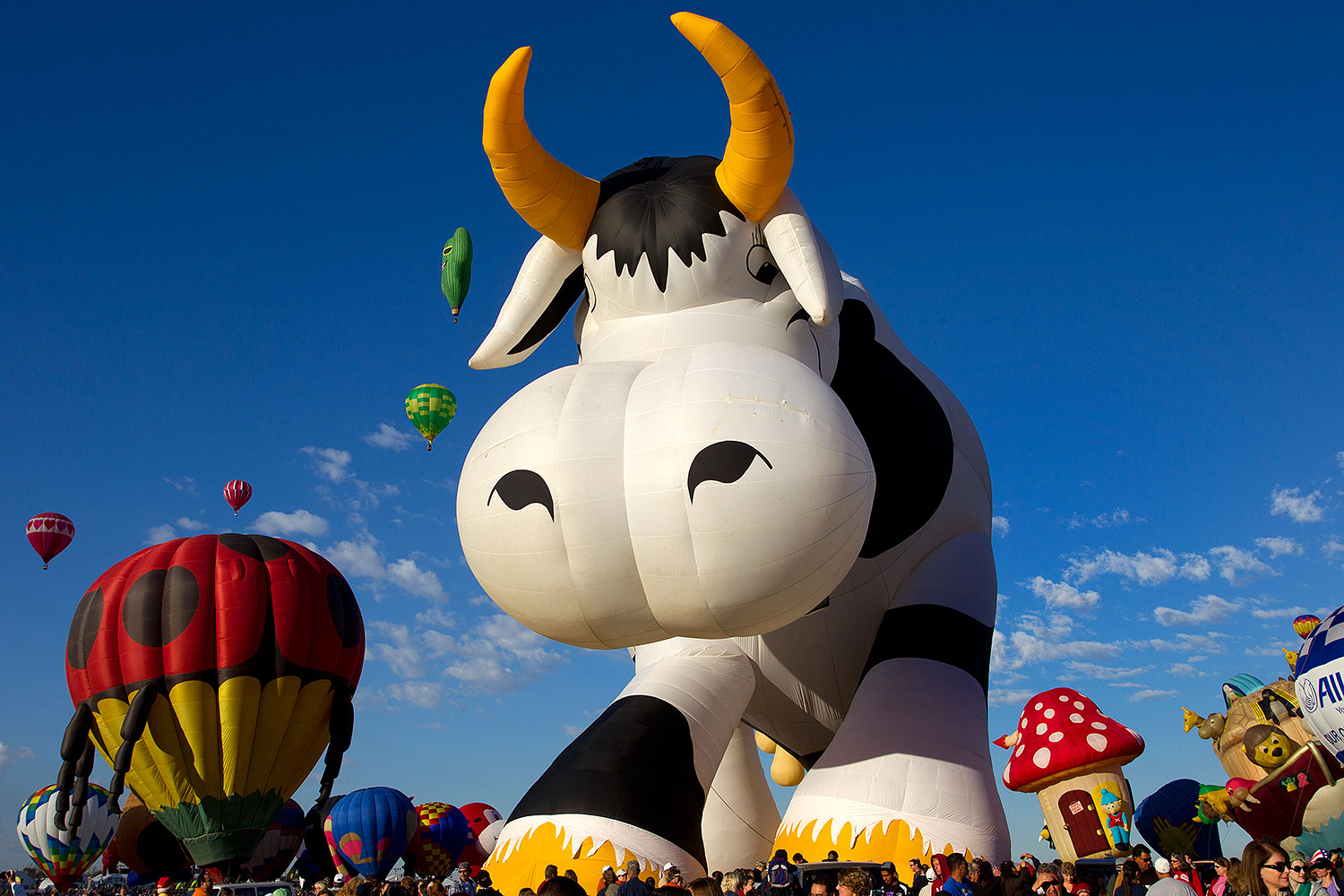 2010 10 08 abq balloon fiesta 39834