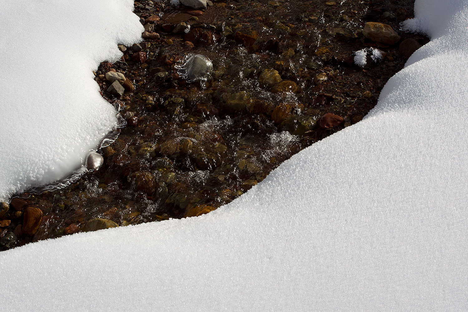 2010-11-19-crested-butte-river-43719