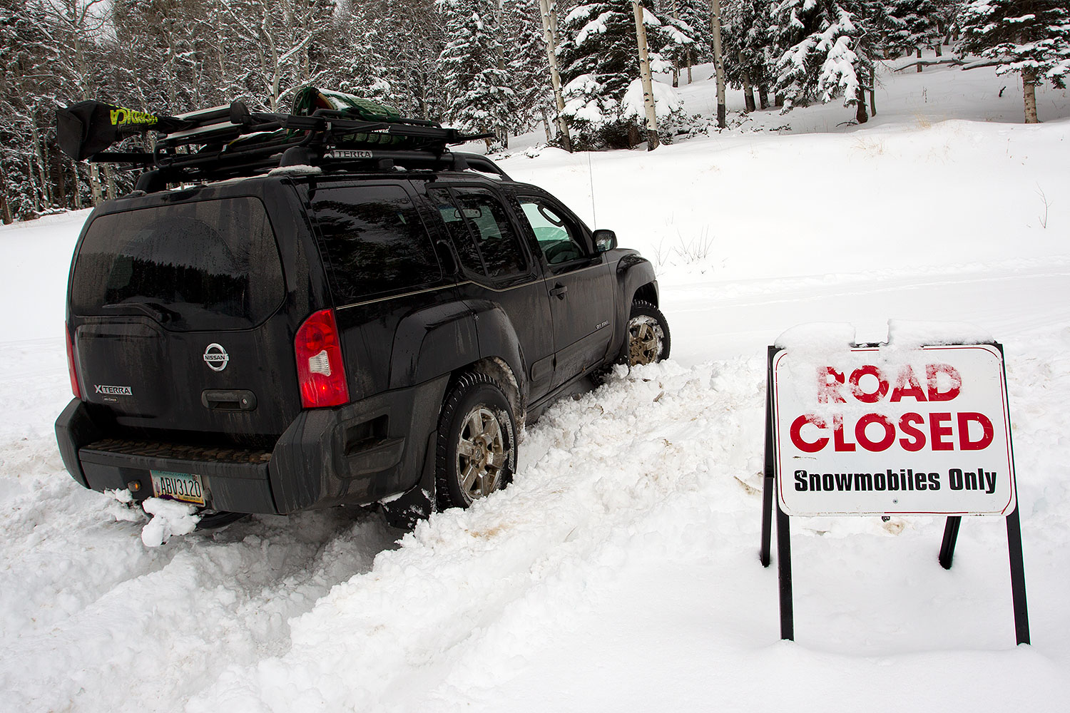 2010-12-19-cimarron-snow-47033