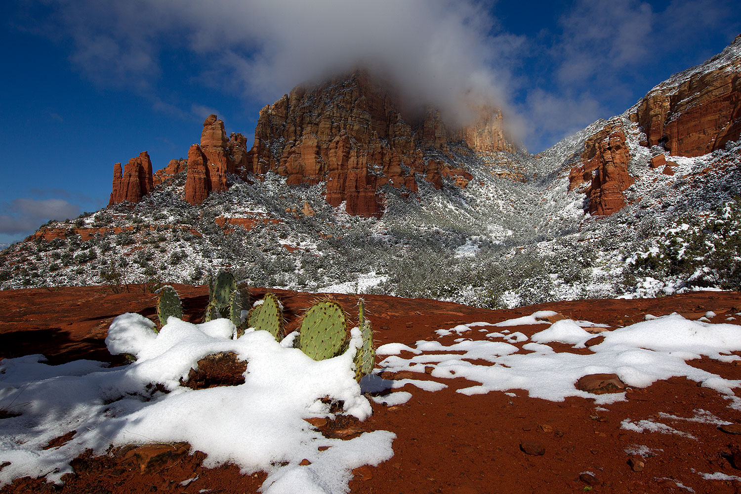 Morning snow view of Prickly Pear Cactus and Thunder Mountain (Capital Butte) in Sedona â€¦ April 2011