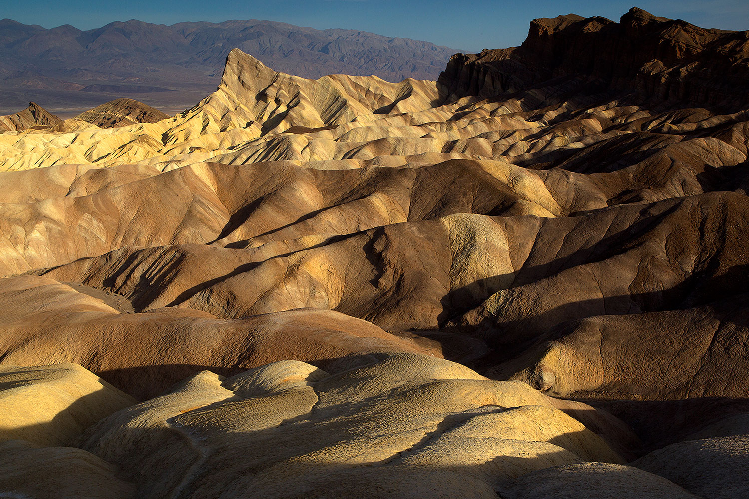 2011-05-26-dv-zabriskie-71675