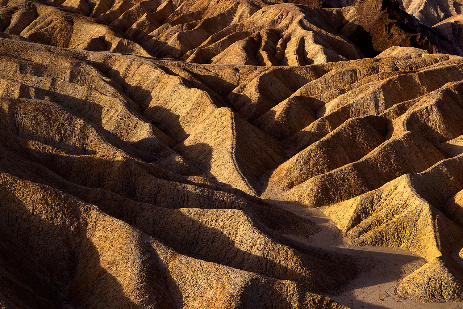 2011-05-26-dv-zabriskie-71679