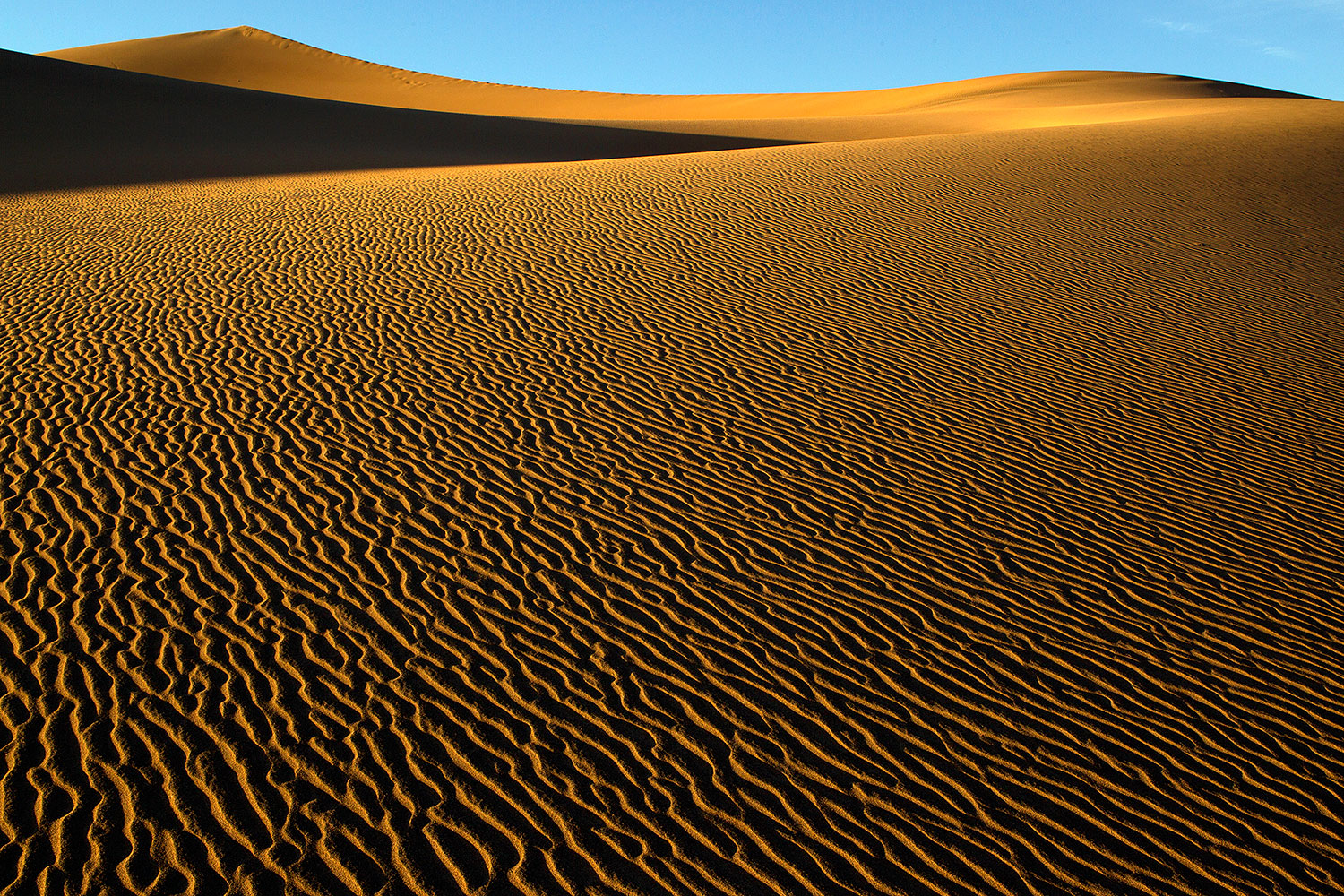 2011-05-27-dv-mesquite-dunes-72247