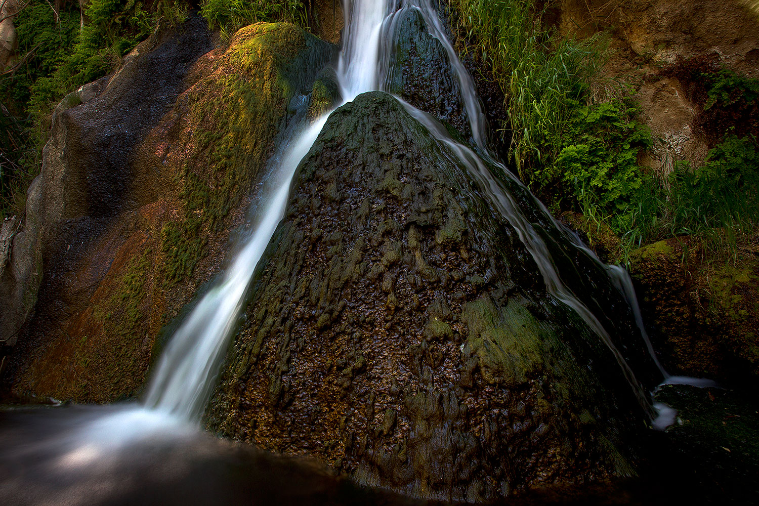 Darwin Falls in Death Valley â€¦ May 2011