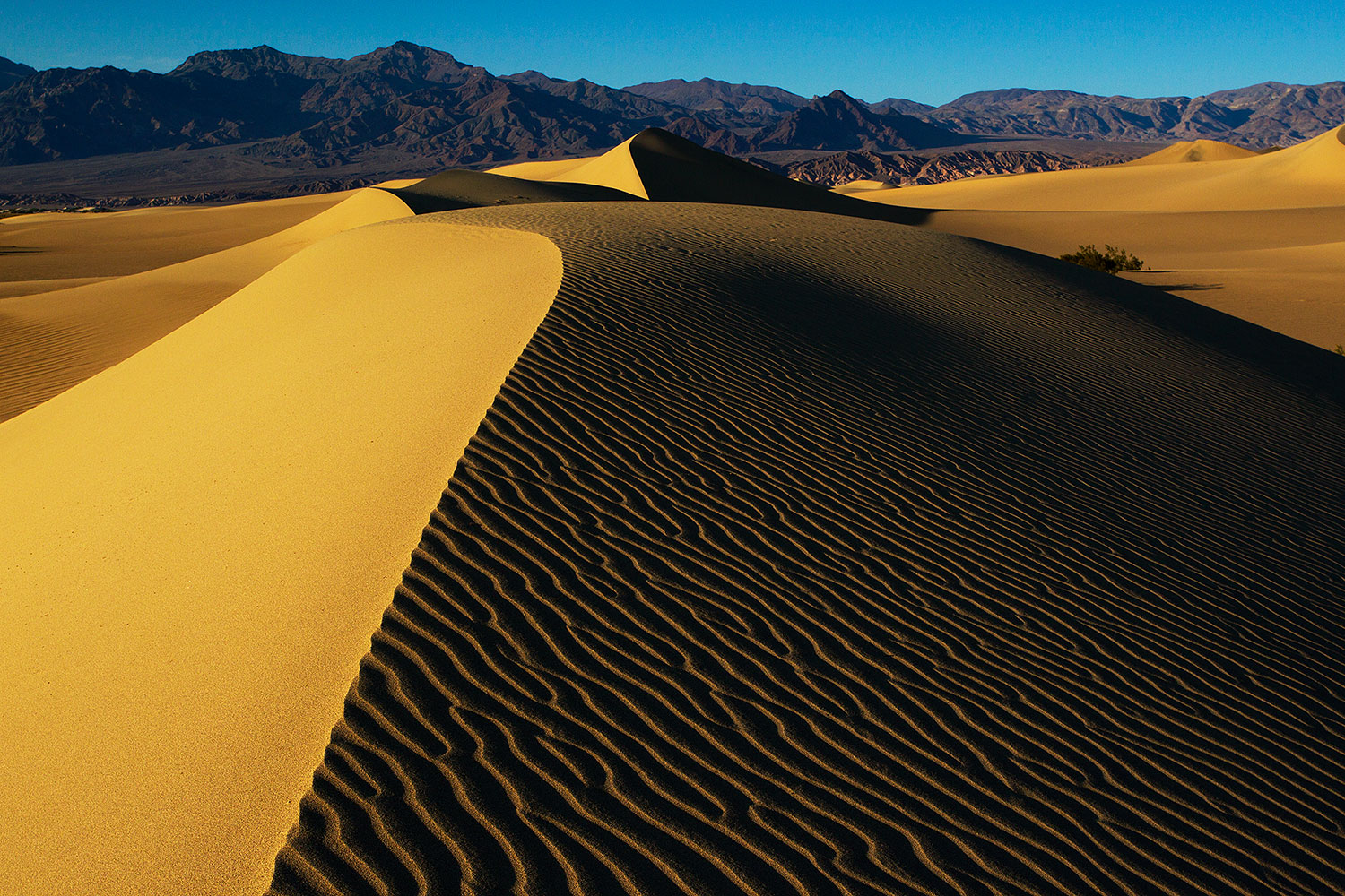 Sand Patterns at Mesquite Sand Dunes in Death Valley â€¦ May 2011