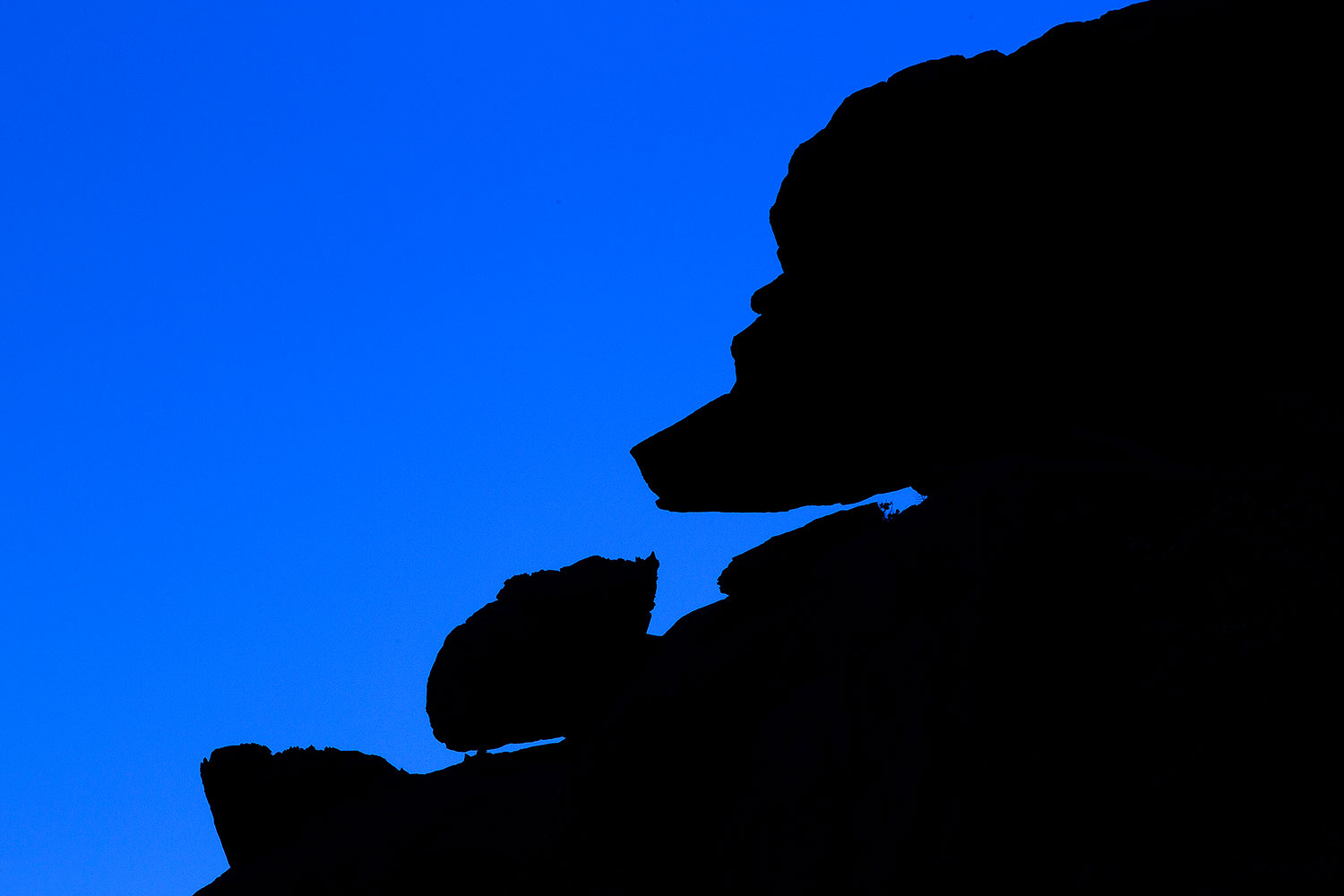 Bear silhouette along Havasupai Trail â€¦ June 2011