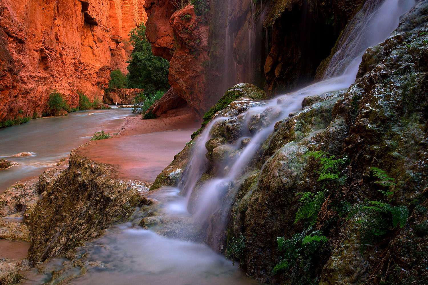 2011-06-25-havasu-mooney-small-79559