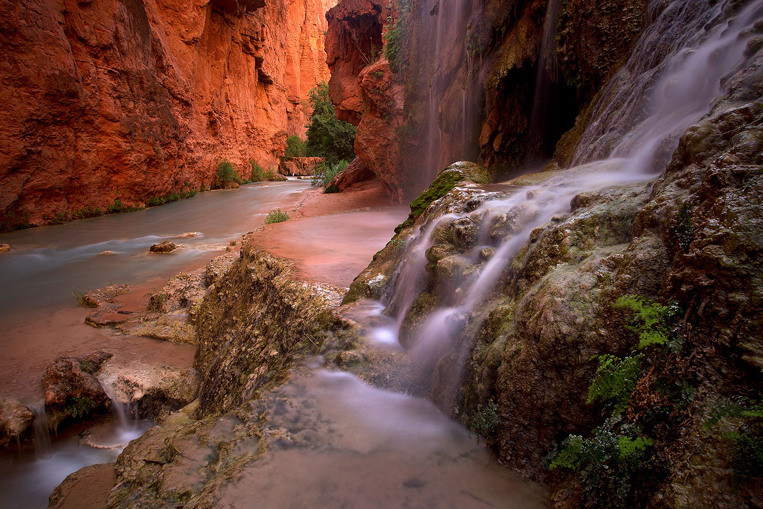 Near Mooney Falls â€¦ June 2011