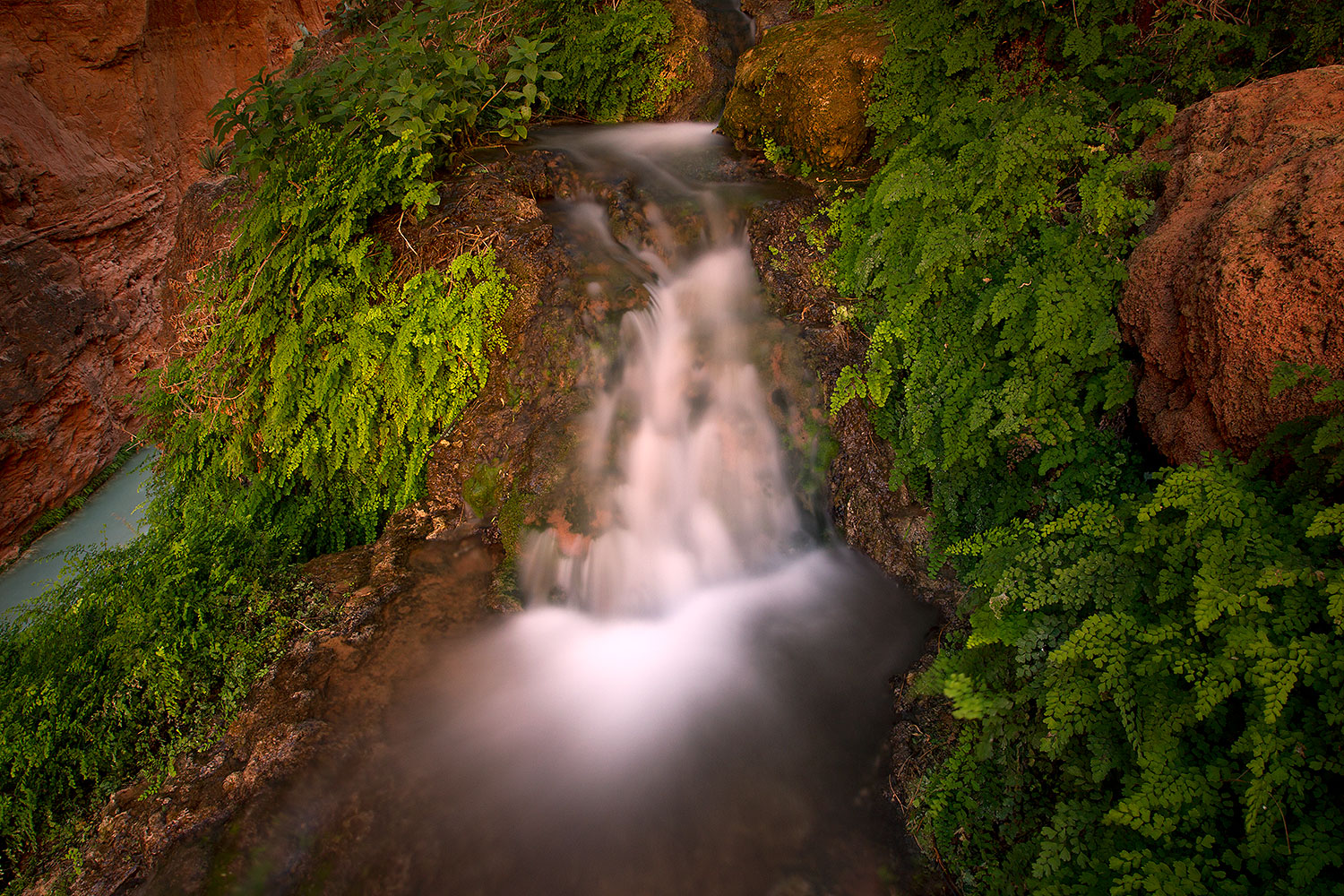 2011-06-25-havasu-mooney-small-79589