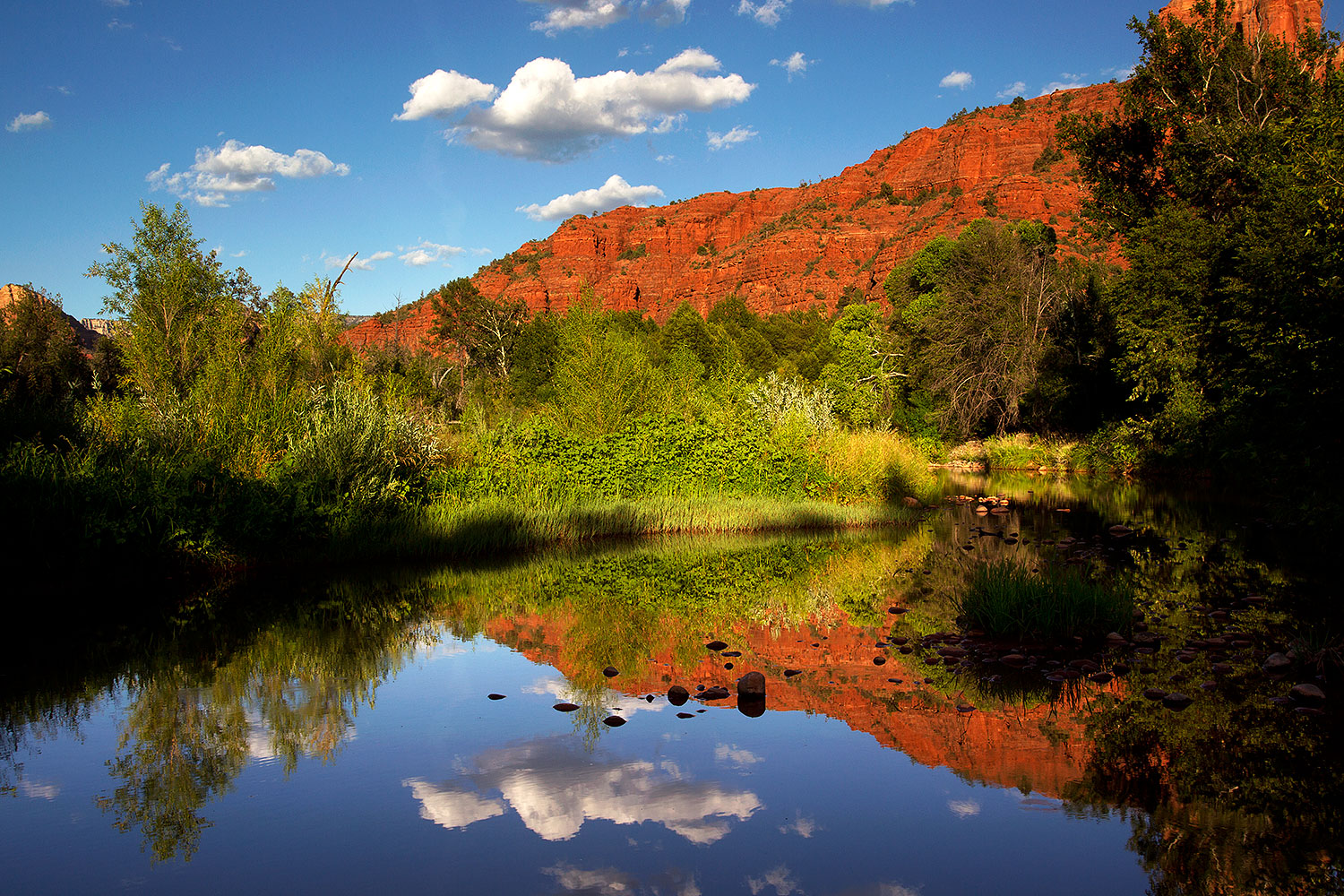2011-08-11-sedona-cathedral-pond-90406