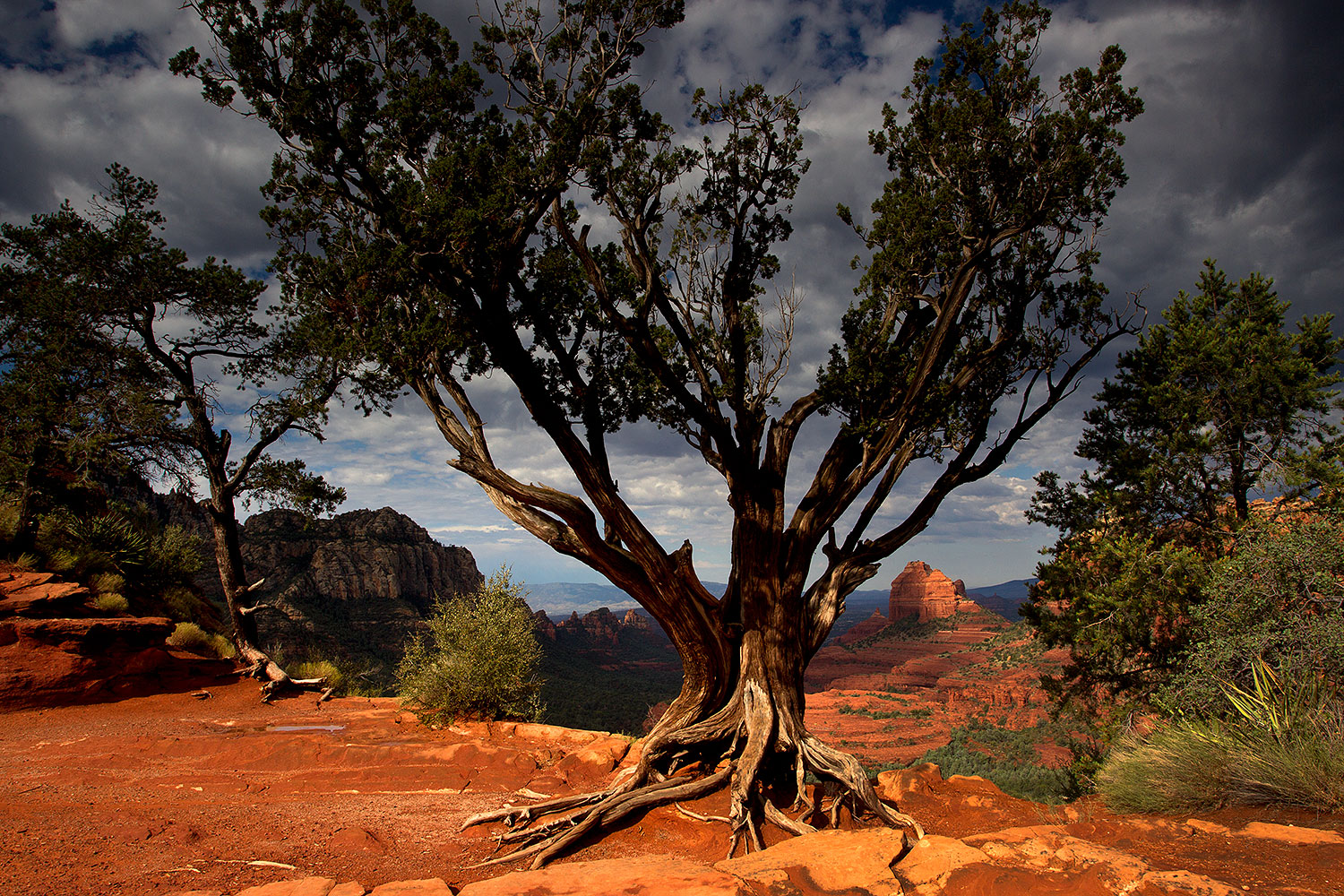 2011-09-09-sedona-schnebly-93910