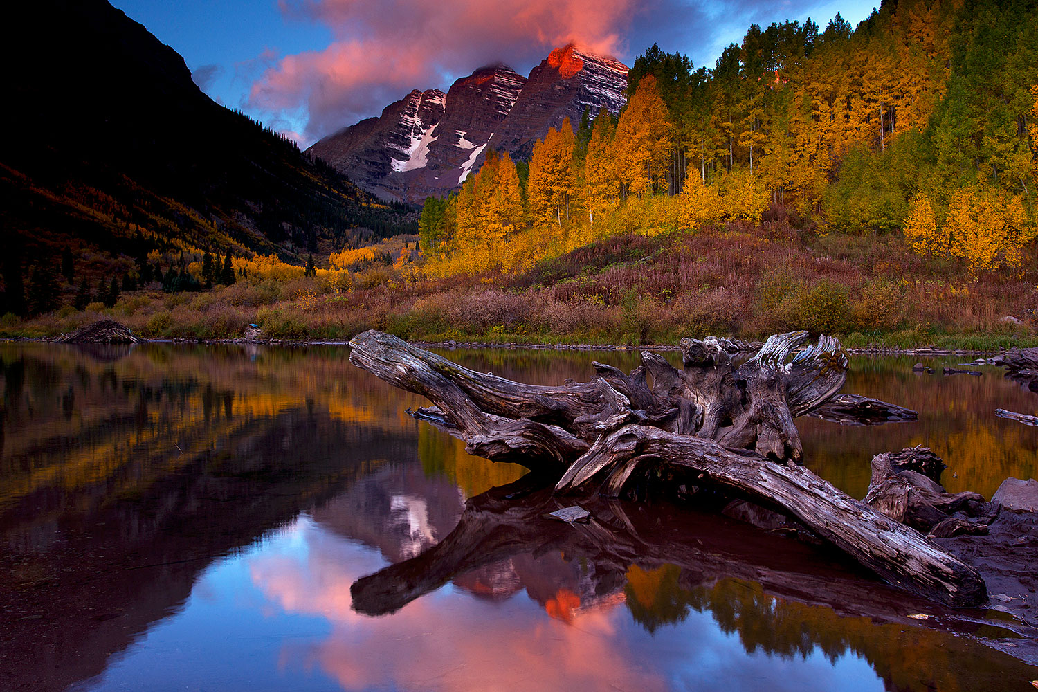Sunrise reflection of a tree log and Maroon Bells in Colorado â€¦ October 2011
