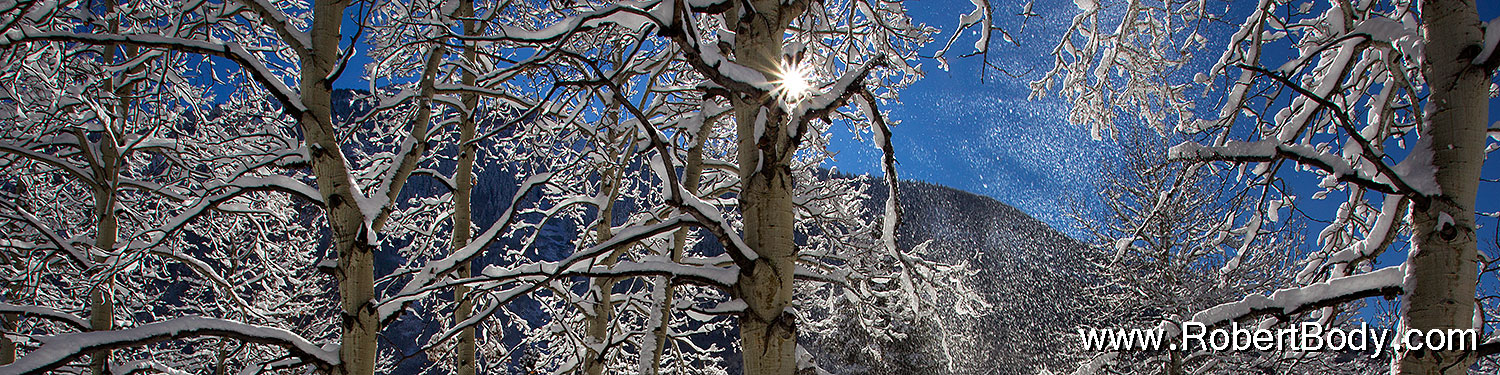 2011-10-27-maroon-snowy-trees-109547sp