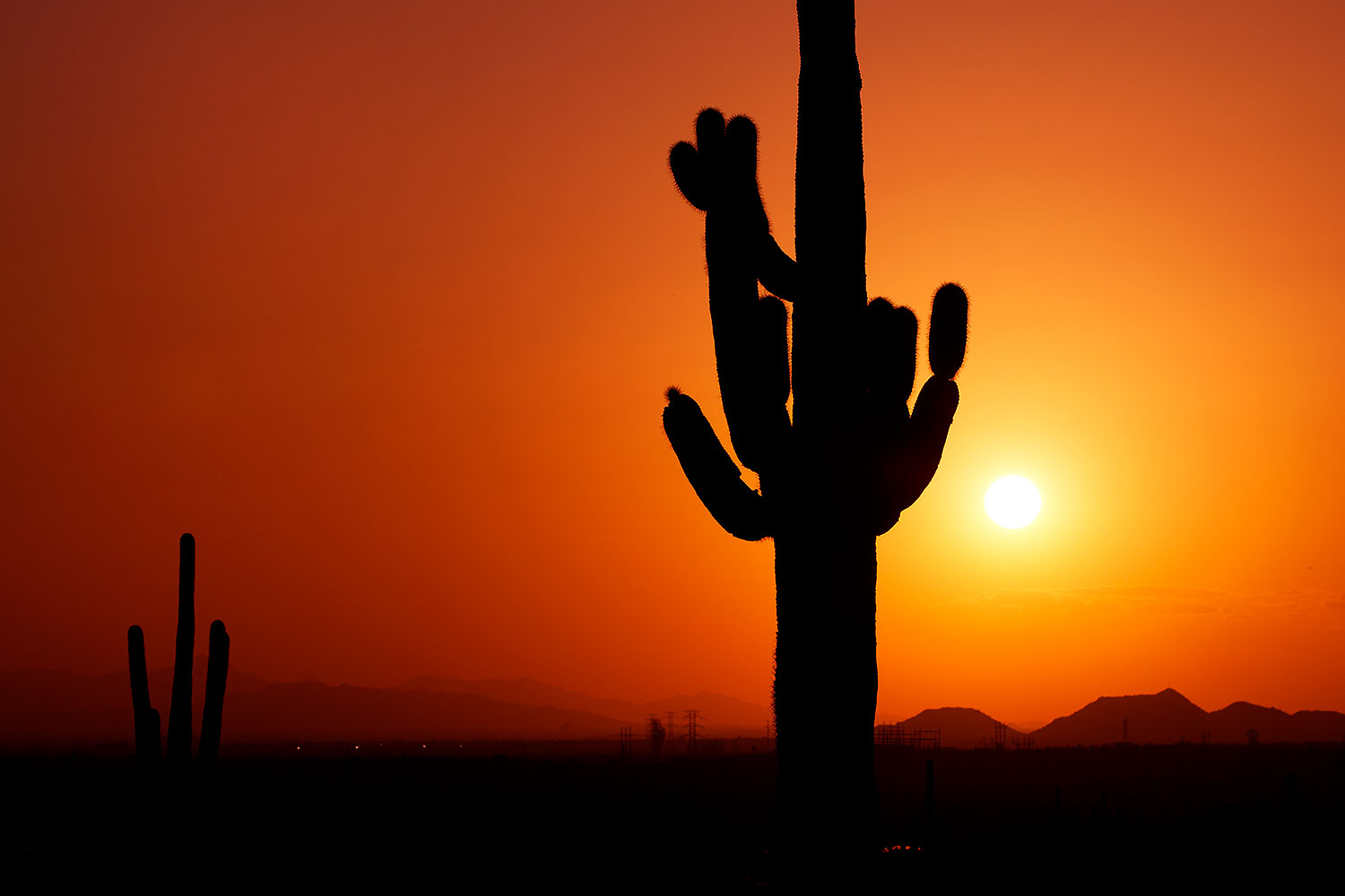 Sunset and Saguaro cactus in Superstitions â€¦ March 2012