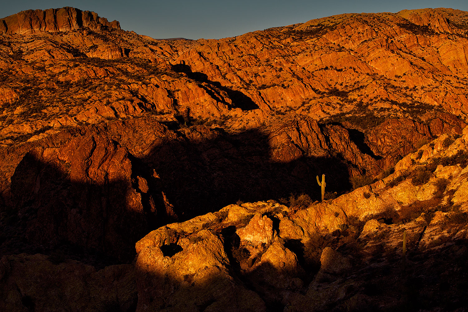 Saguaro in the evening in Superstitions â€¦ March 2012