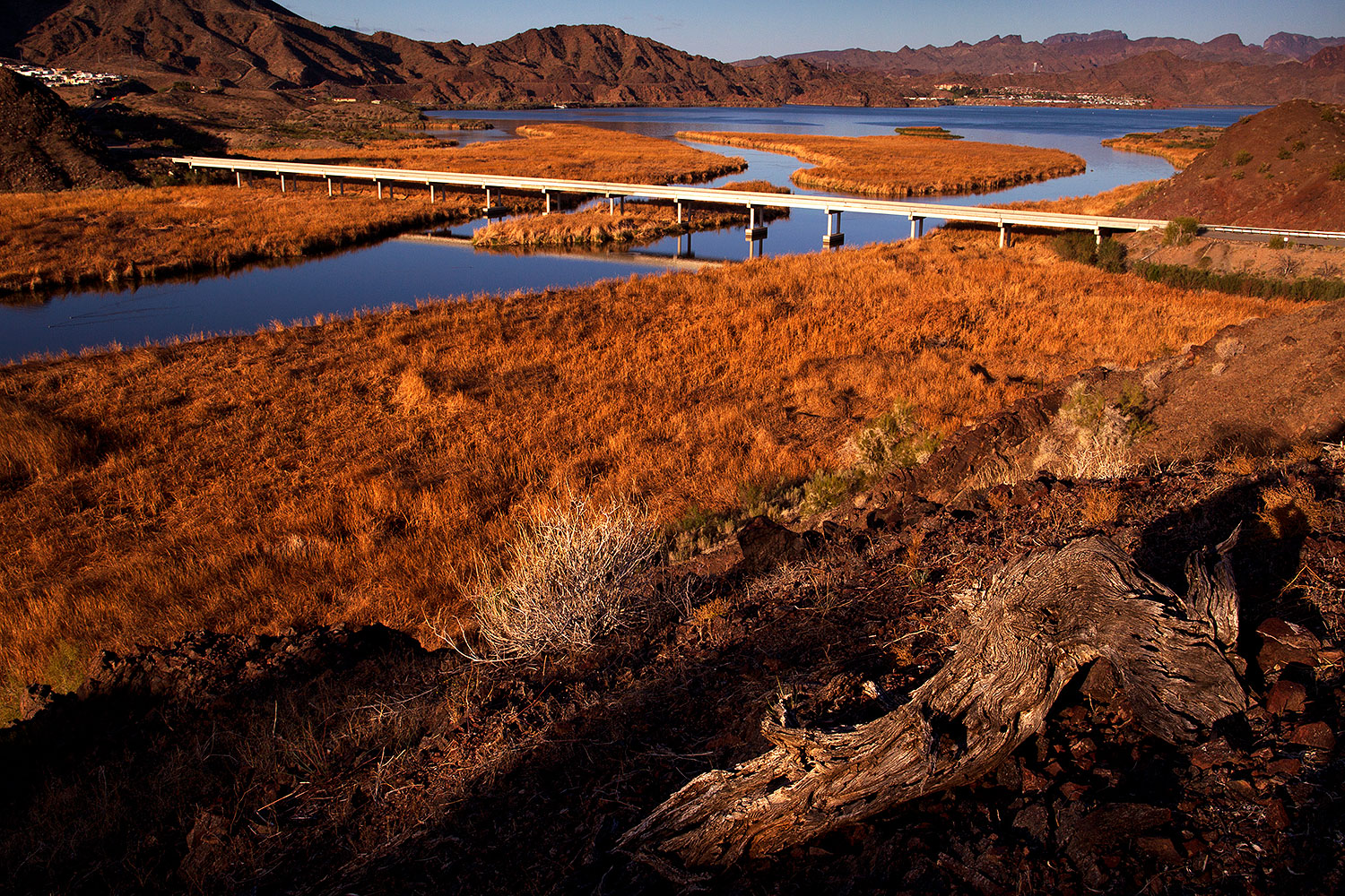 2012-03-19-bill-will-morning-149663