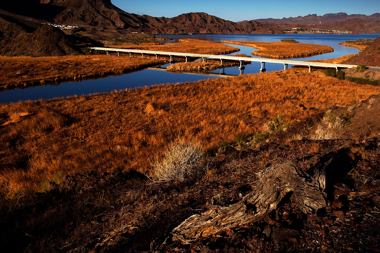 2012-03-19-bill-will-morning-149684