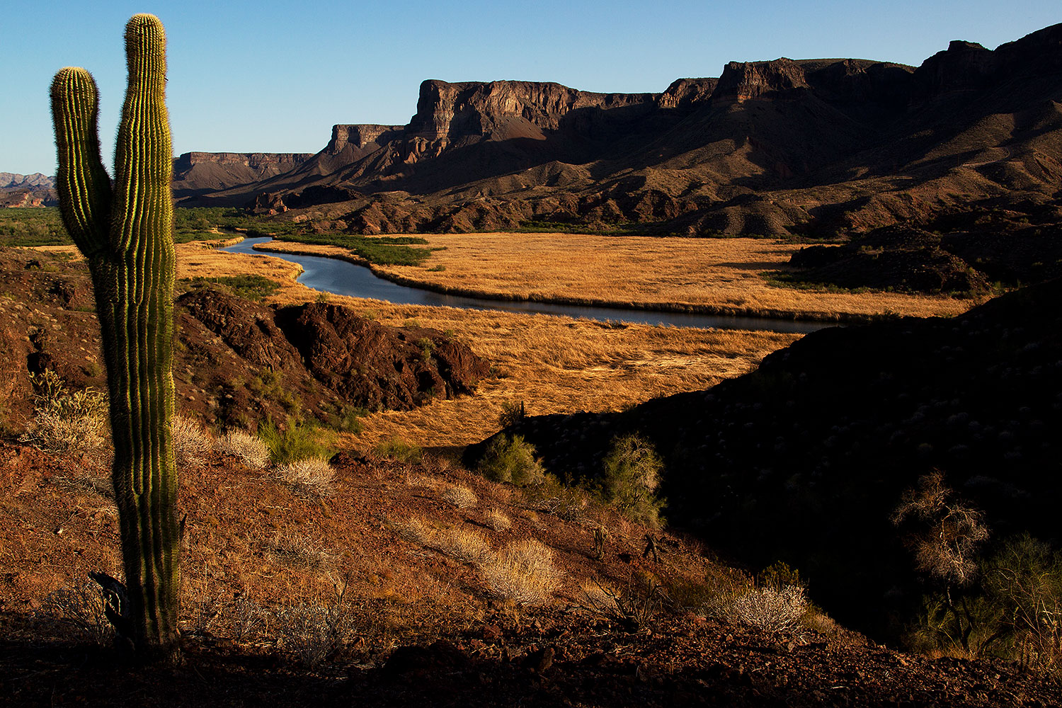 2012-03-26-bill-will-evening-151023