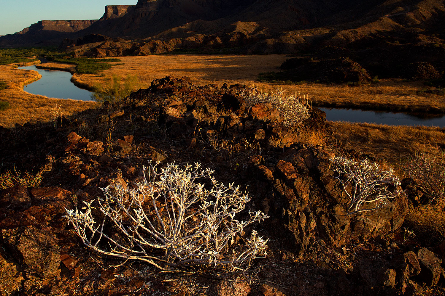 2012-03-26-bill-will-evening-151058