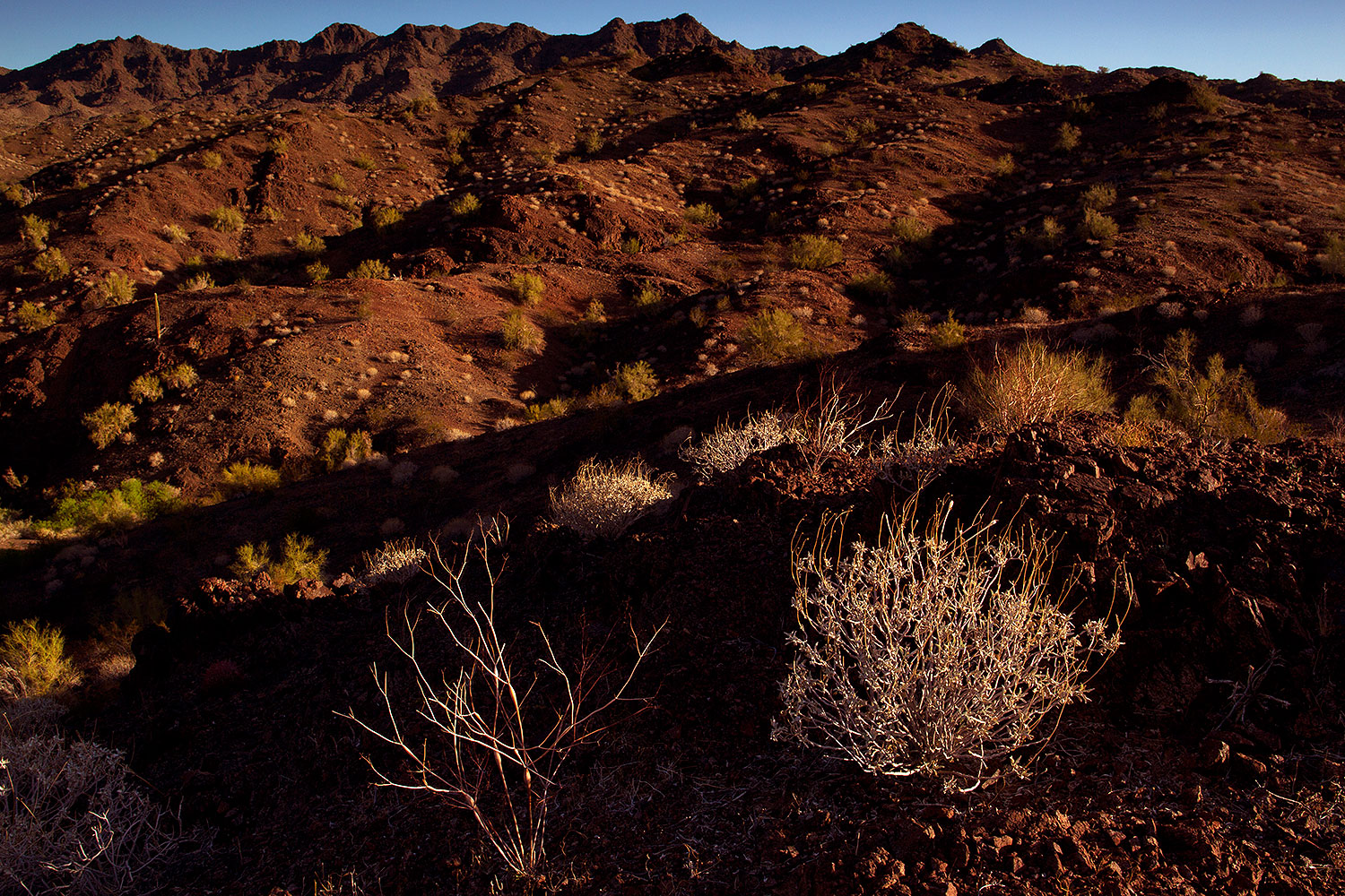 2012-03-26-bill-will-morning-150940