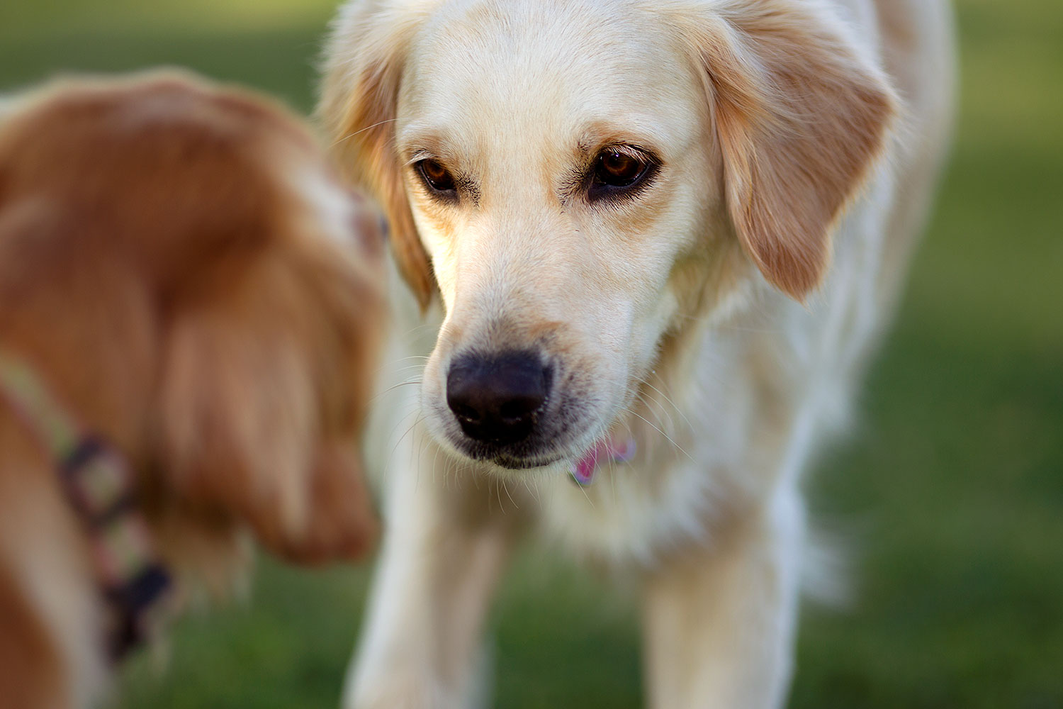 2012-04-10-chandler-park-both-153549