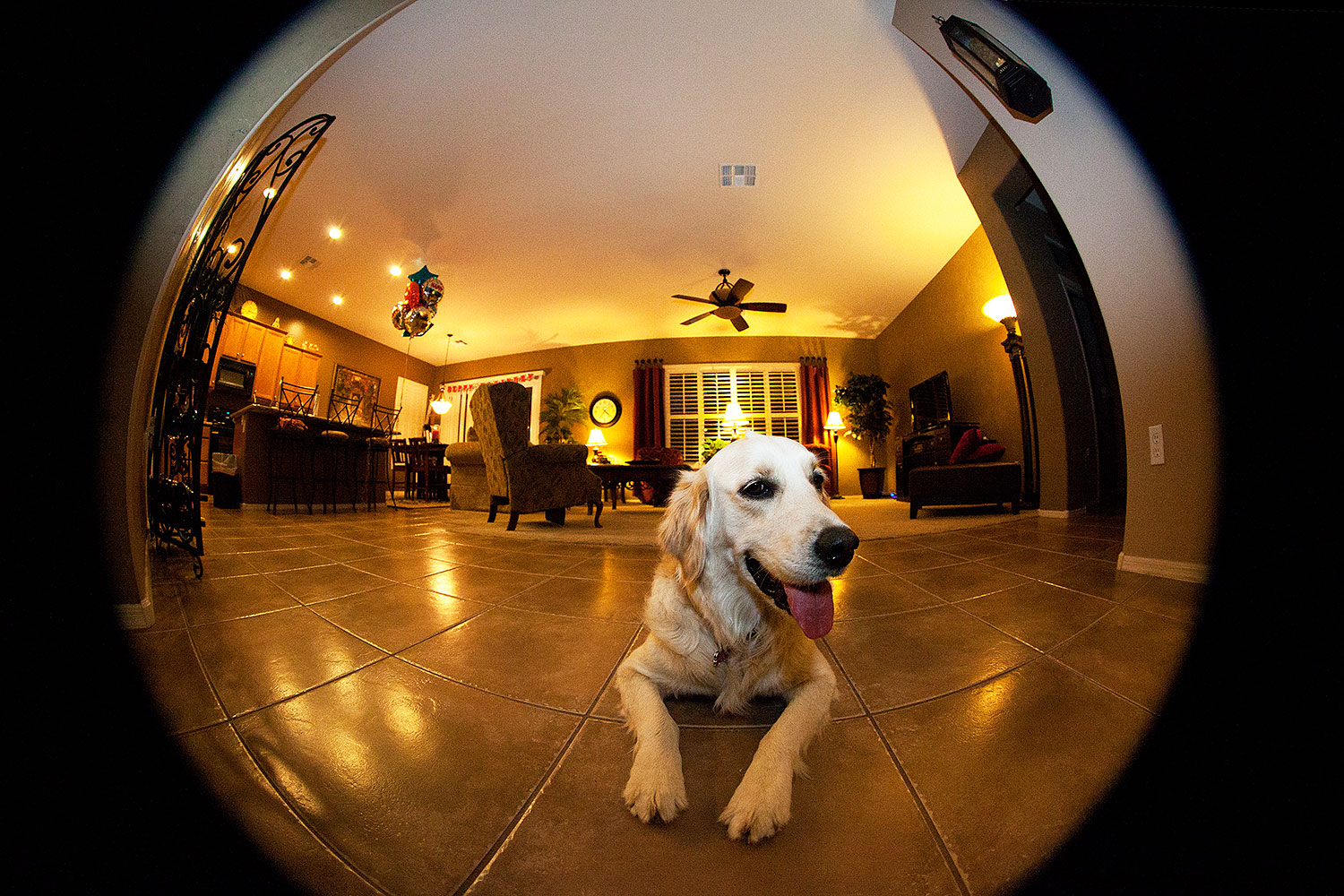 2012-04-12-bella-fisheye-5d2_0221