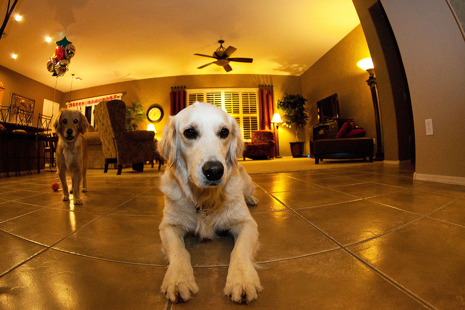 2012-04-12-bella-fisheye-5d2_0243