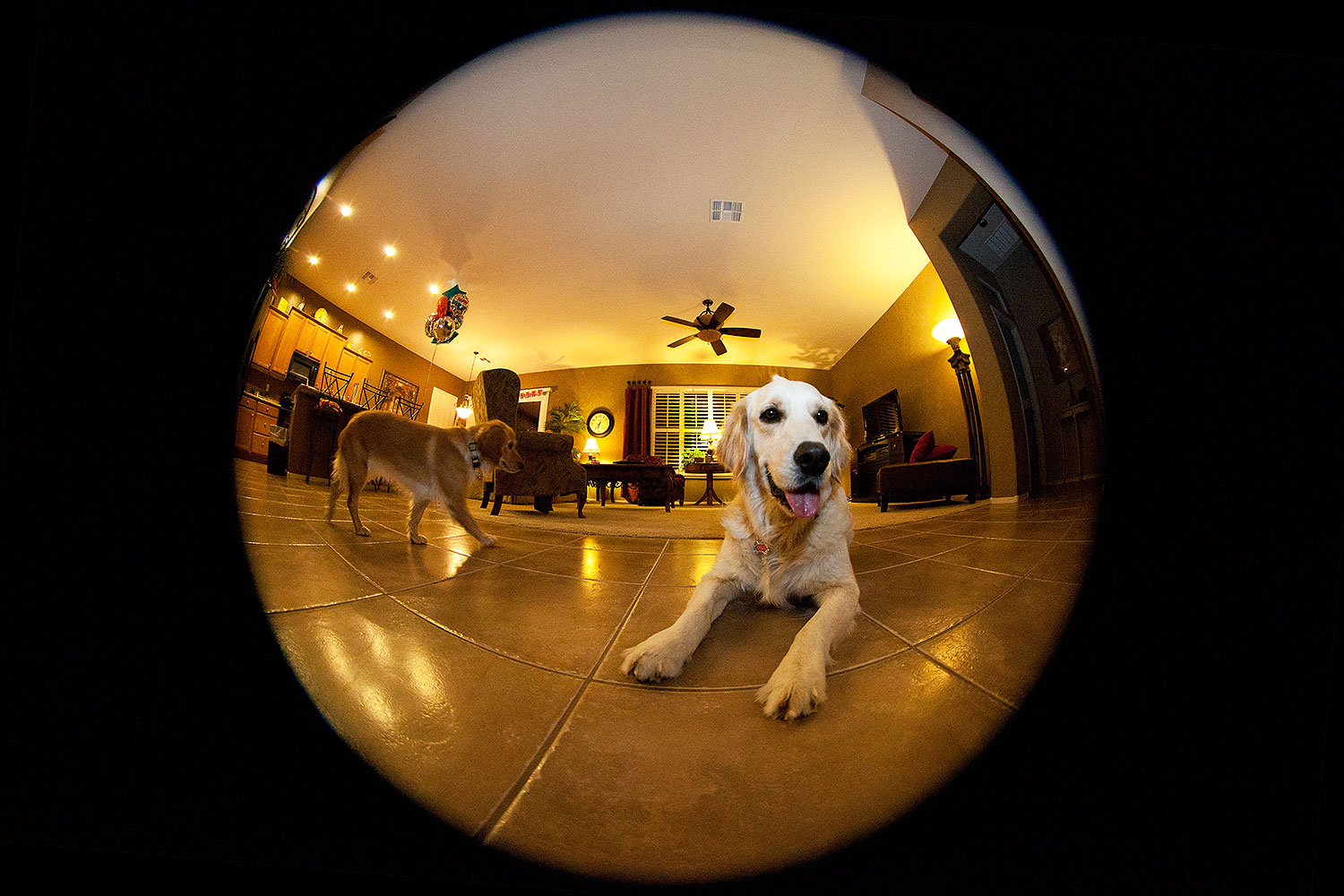 2012-04-12-bella-fisheye-5d2_0255