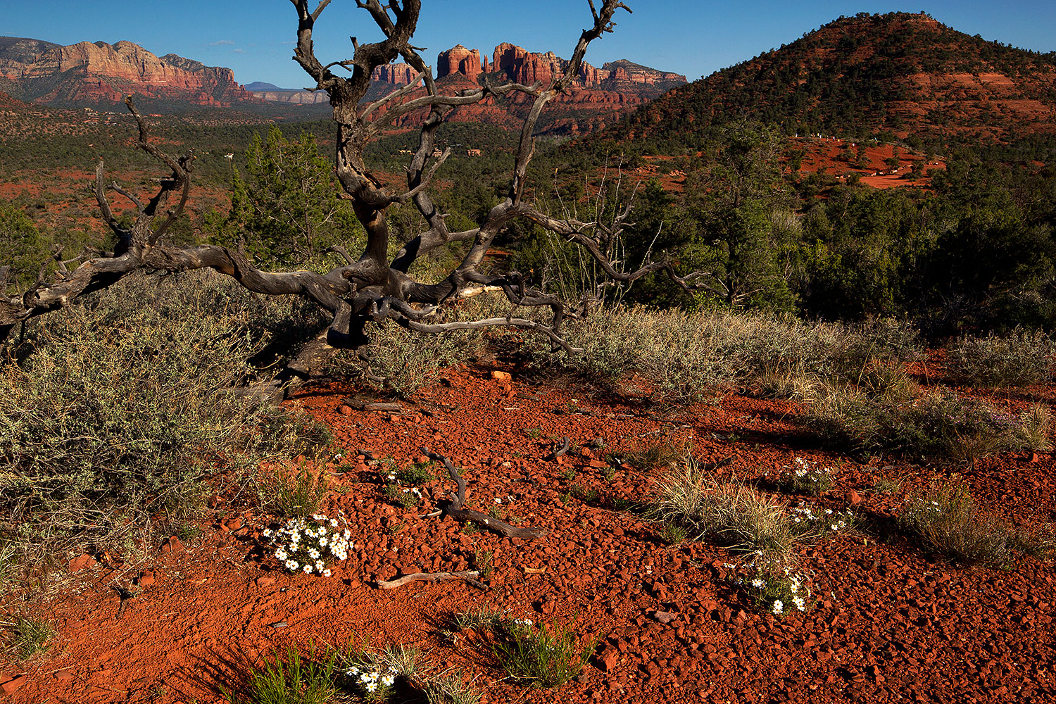 2012-04-16-sedona-cathedral-154674